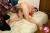 桐島綾子エロ画像199枚＆おすすめ作品2選 スケベな乳してる淫乱熟女の下品フェラや濃厚セックス集めてみた197