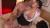 桐島綾子エロ画像199枚＆おすすめ作品2選 スケベな乳してる淫乱熟女の下品フェラや濃厚セックス集めてみた124