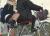 JK自転車パンチラエロ画像104枚 チャリで通学してる女子高生の立ちこぎや風チラ集めてみた084