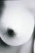 高岡早紀エロ画像152枚 伝説のGカップ爆乳女優のヌードや濡れ場・お宝水着グラビア集めてみた026