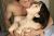 宝生リリーおすすめ作品6選＆美巨乳ヌードや下品なフェラ顔・セックスエロ画像189枚集めてみた017