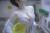 谷間エロ画像555枚 巨乳美女の男を誘惑する強調されたおっぱい集めてみた【動画あり】153