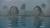 川栄李奈エロ画像151枚 濡れ場おっぱいや水着巨乳・胸チラおっぱいまで元AKB「りっちゃん」まとめ【毎日更新】021