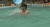 ウォータースライダーのエロ画像46枚ポロリしまくりな巨乳水着美女集めてみた008