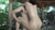 【vol.1】風呂セックスエロGIF画像50枚 湯舟や洗い場でする交尾集めてみた|エロGIF画像5枚目