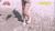 【AKB48】柏木由紀のEカップおっぱいと極上のエロい肉体！！！（※GIF有り）030