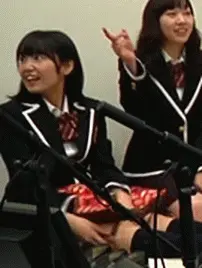 芸能人パンチラGIF画像014