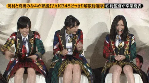 芸能人パンチラGIF画像019