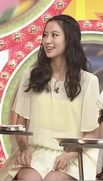 芸能人パンチラGIF画像035