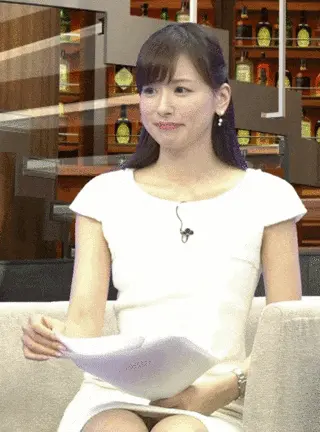 芸能人パンチラGIF画像056