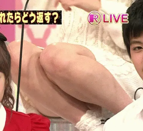 芸能人パンチラGIF画像072