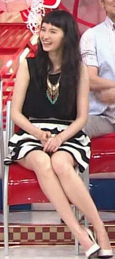 芸能人パンチラGIF画像100