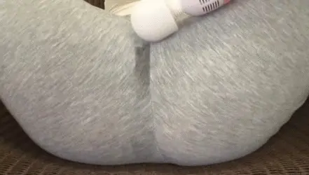 着衣潮吹きエロGIF画像33枚 スウェットやパンスト越しに電マで気持ち良くなってるシーン集めてみた029