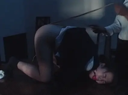 スパンキングエロGIF画像42枚 ムチや手のひらで叩かれて真っ赤になりながら波打つ尻肉集めてみた068