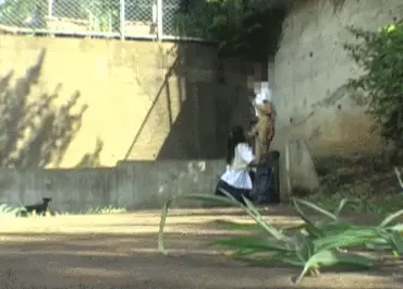 野外フェラエロGIF画像50枚 外で美味しいそうにチンポしゃぶってるJKやギャル集めてみた016