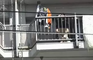 団地妻エロGIF画像49枚 欲求不満熟女のセックスやオナニー集めてみた049