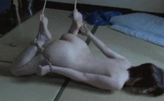 緊縛エロGIF画像100枚 縛られ固定されて犯されてるドM女集めてみた068