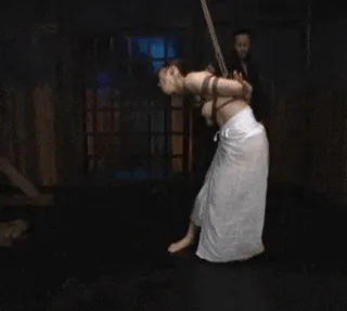 緊縛エロGIF画像100枚 縛られ固定されて犯されてるドM女集めてみた084