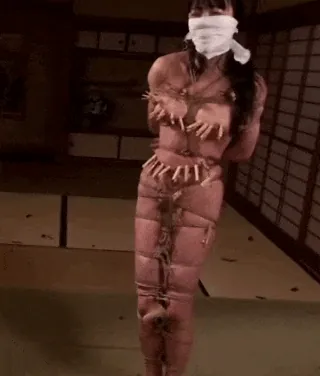 緊縛エロGIF画像100枚 縛られ固定されて犯されてるドM女集めてみた091