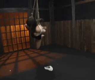 緊縛エロGIF画像100枚 縛られ固定されて犯されてるドM女集めてみた098