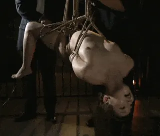 緊縛エロGIF画像100枚 縛られ固定されて犯されてるドM女集めてみた107