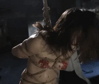 緊縛エロGIF画像100枚 縛られ固定されて犯されてるドM女集めてみた116