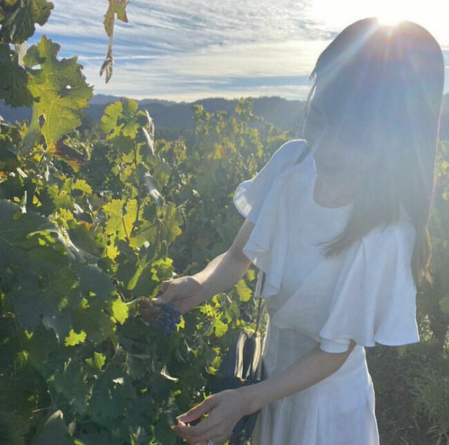 カトパン（加藤綾子アナ）のおっぱい画像100枚集めてみた!!交際相手が裏山すぎる!!083