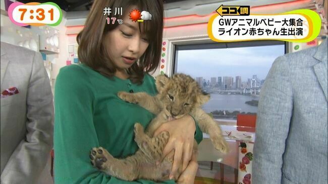 カトパン（加藤綾子アナ）のおっぱい画像100枚集めてみた!!交際相手が裏山すぎる!!149