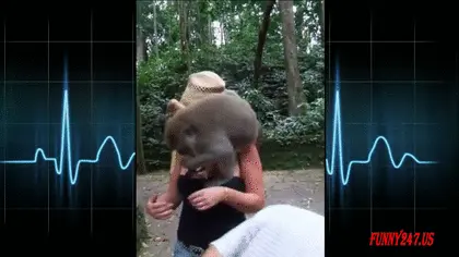 ハプニングやイタズラでポロリしちゃったエロgif100枚!!慌てた反応がエロいけど面白いｗ082