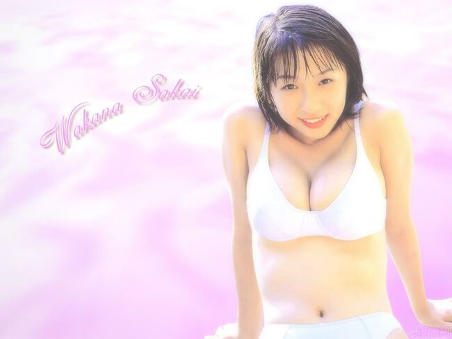 酒井若菜のエロ画像63枚 おっぱいヌードから水着グラビア・濡れ場までFカップグラドルの全盛期エロボディ集めてみた195