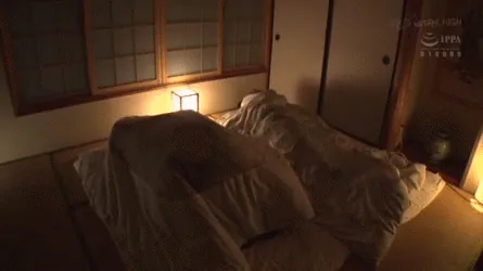 布団内セックスエロGIF021