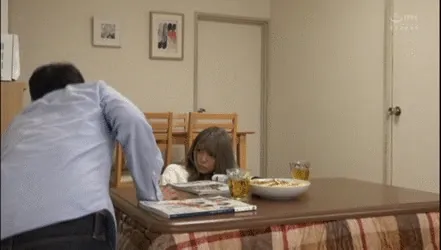 コタツハメエロGIF画像024