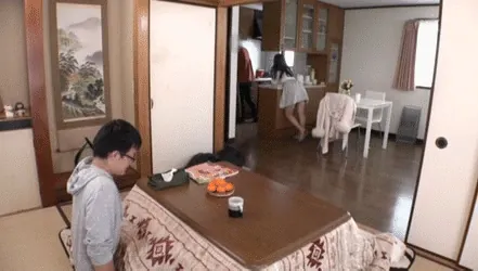 コタツハメエロGIF画像050