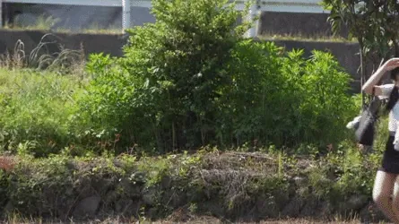 おっさんと少女エロGIF019