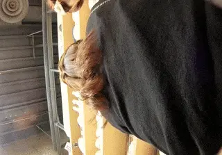 【vol.2】パンチラエロGIF画像50枚001