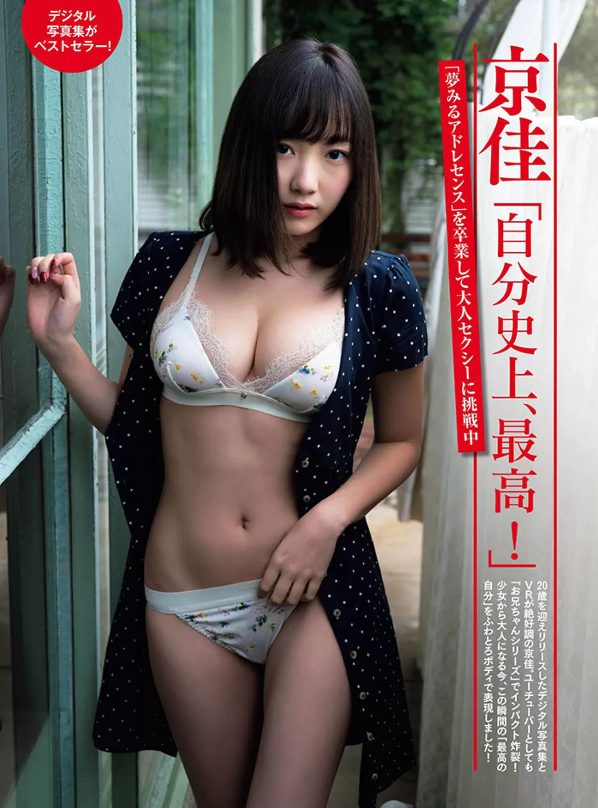 京佳241