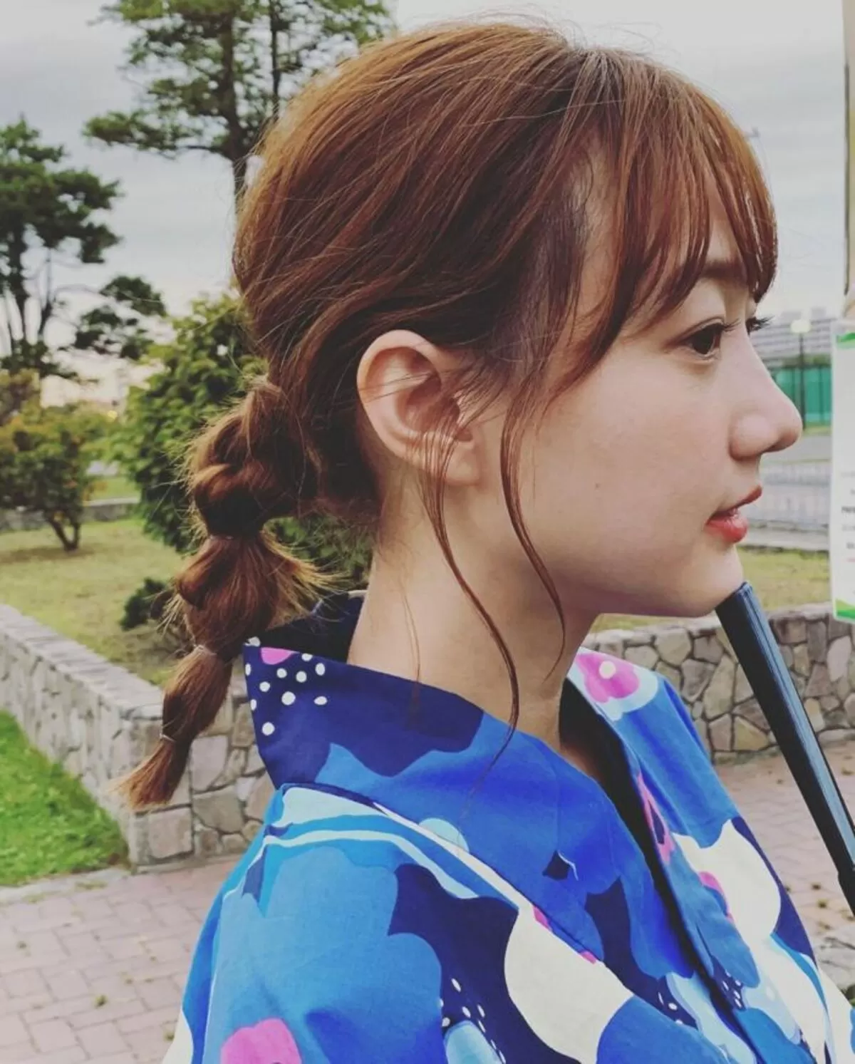 高田秋113
