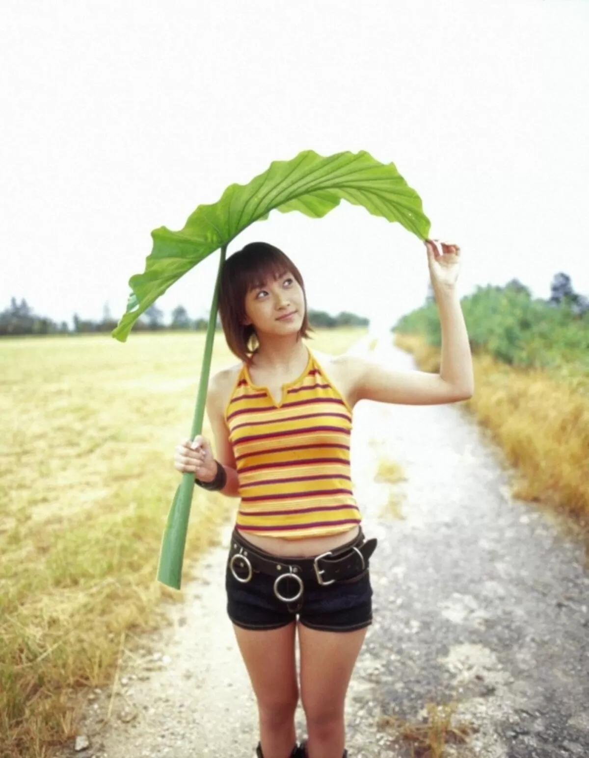 藤本美貴229