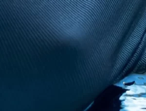 青山ひかるのおっぱい画像014