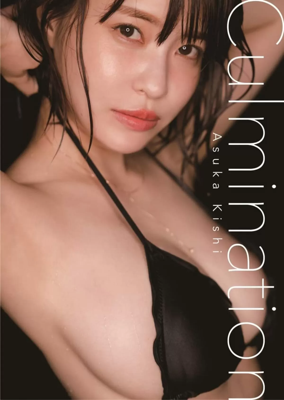 岸明日香のおっぱい画像017