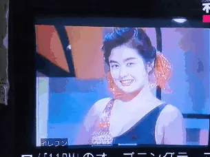 昔のテレビ番組のエロシーンGIF020