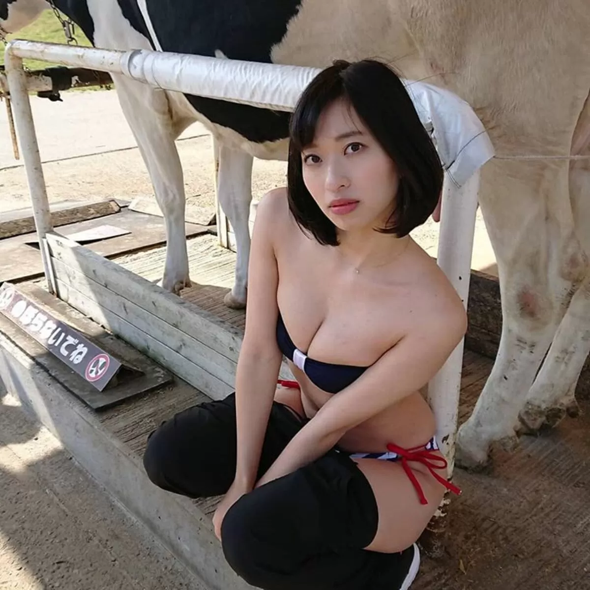 倉持由香のおっぱい画像045