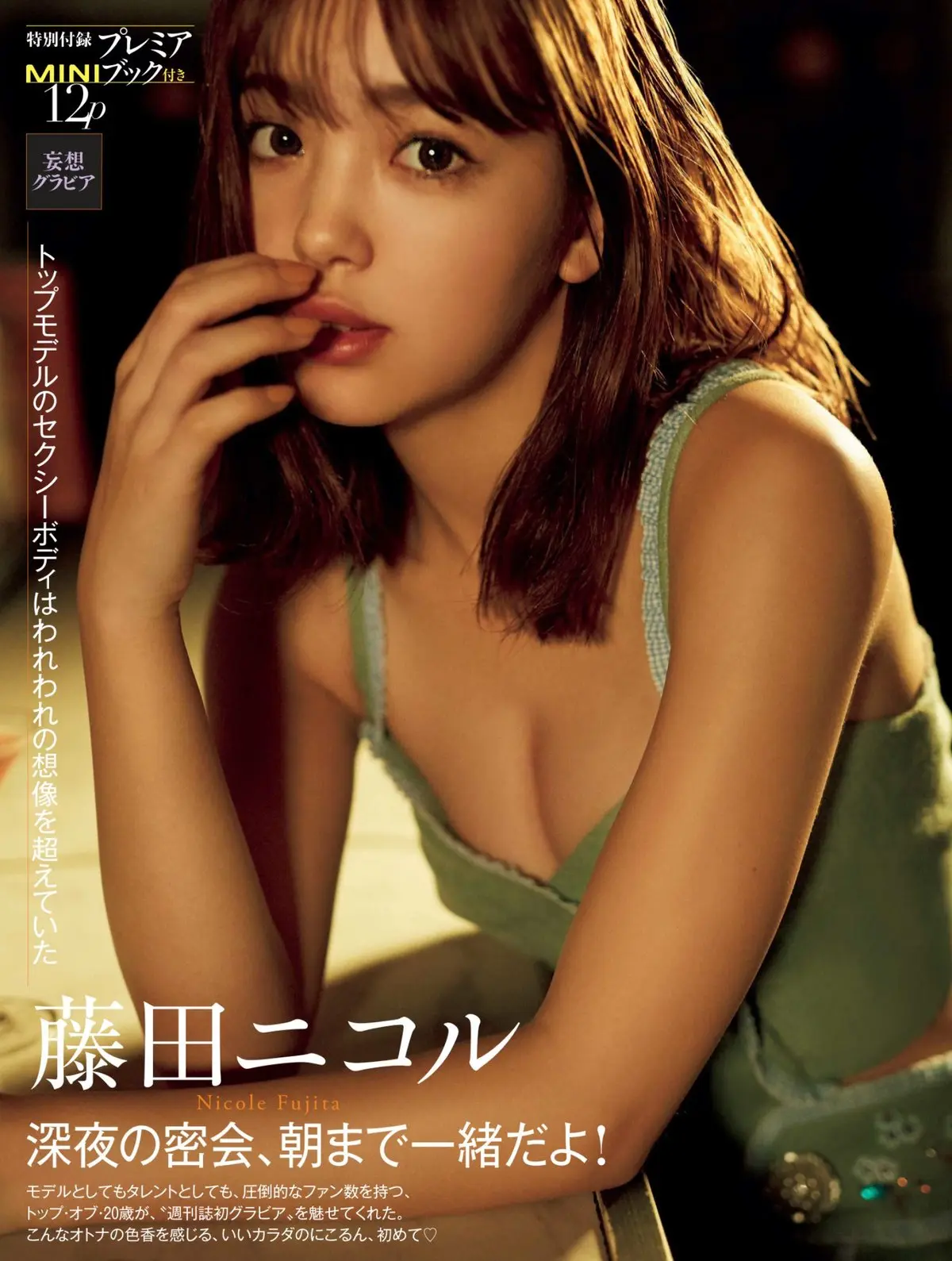 藤田ニコルのおっぱい画像031
