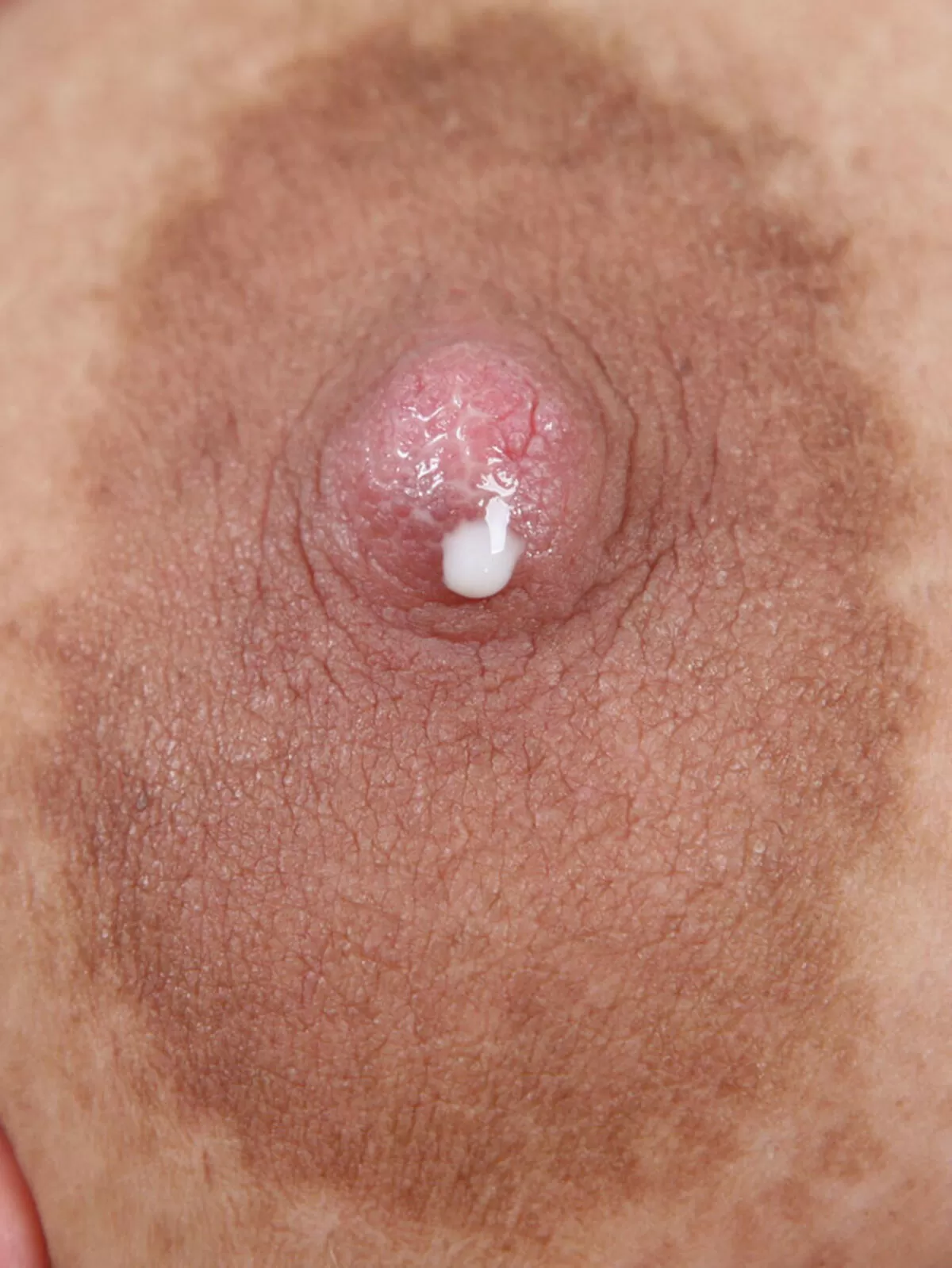 【高画質】乳首をドアップで見てみよう！細かなシワまでくっきりな乳首画像。047