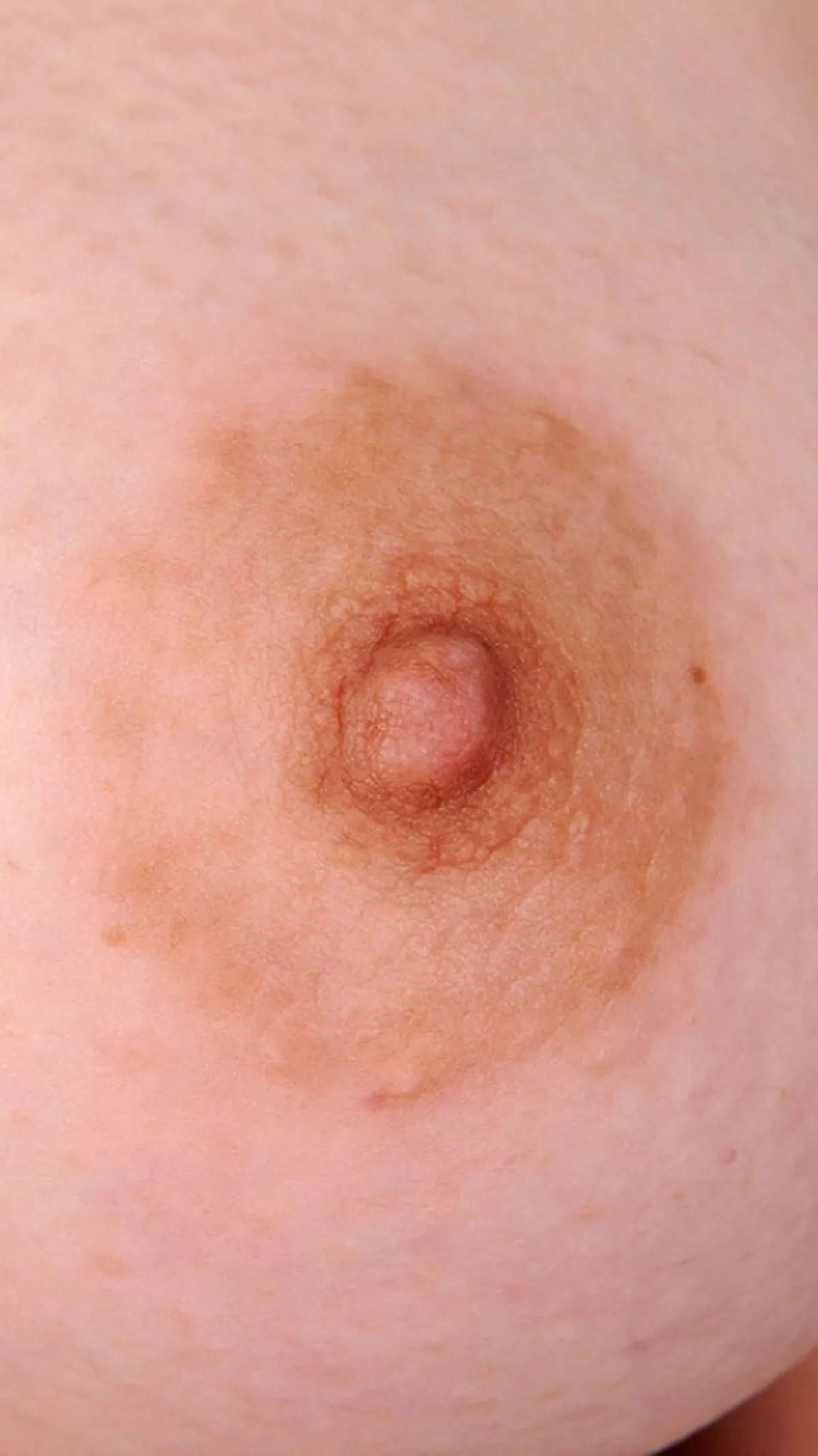 【高画質】乳首をドアップで見てみよう！細かなシワまでくっきりな乳首画像。070