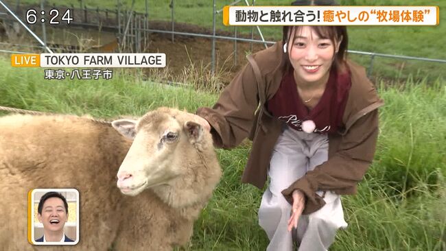 【画像】気象予報士の今井春花、グッドモーニングで前屈み谷間チラハプニング！002