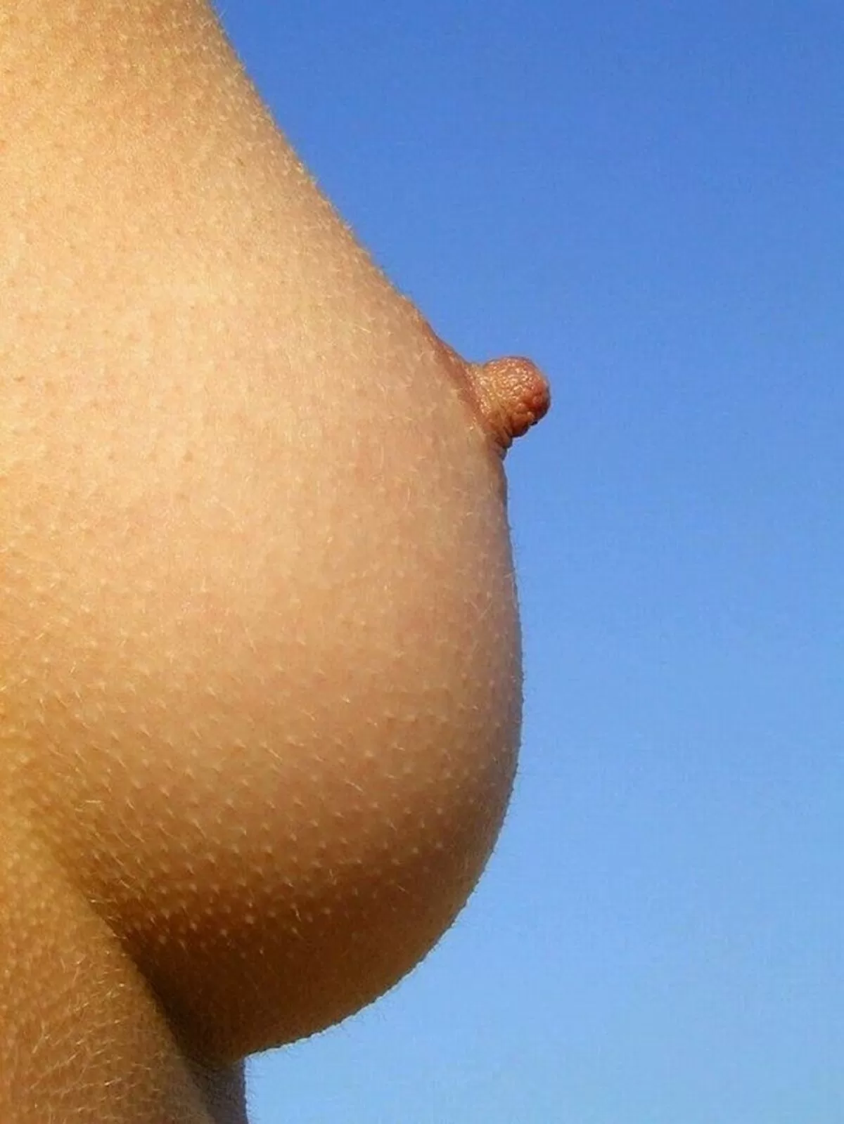 勃起乳首エロ画像112