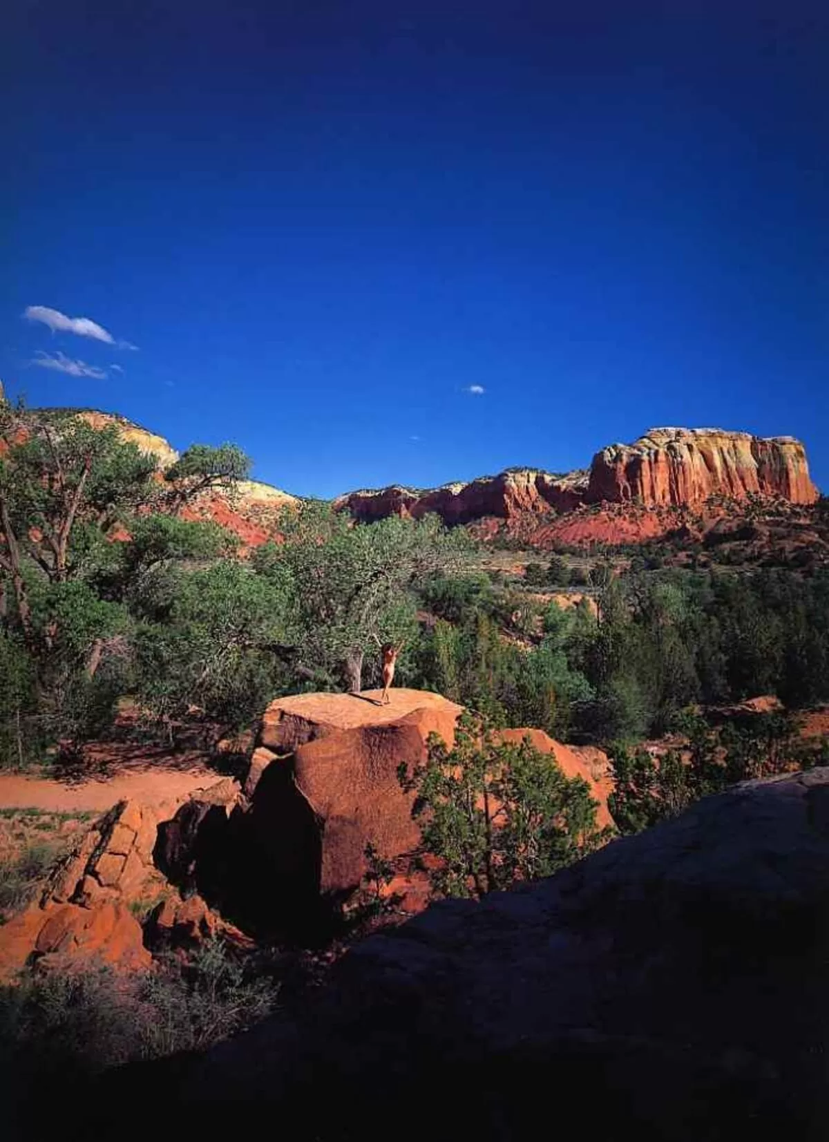 宮沢りえエロ画像011