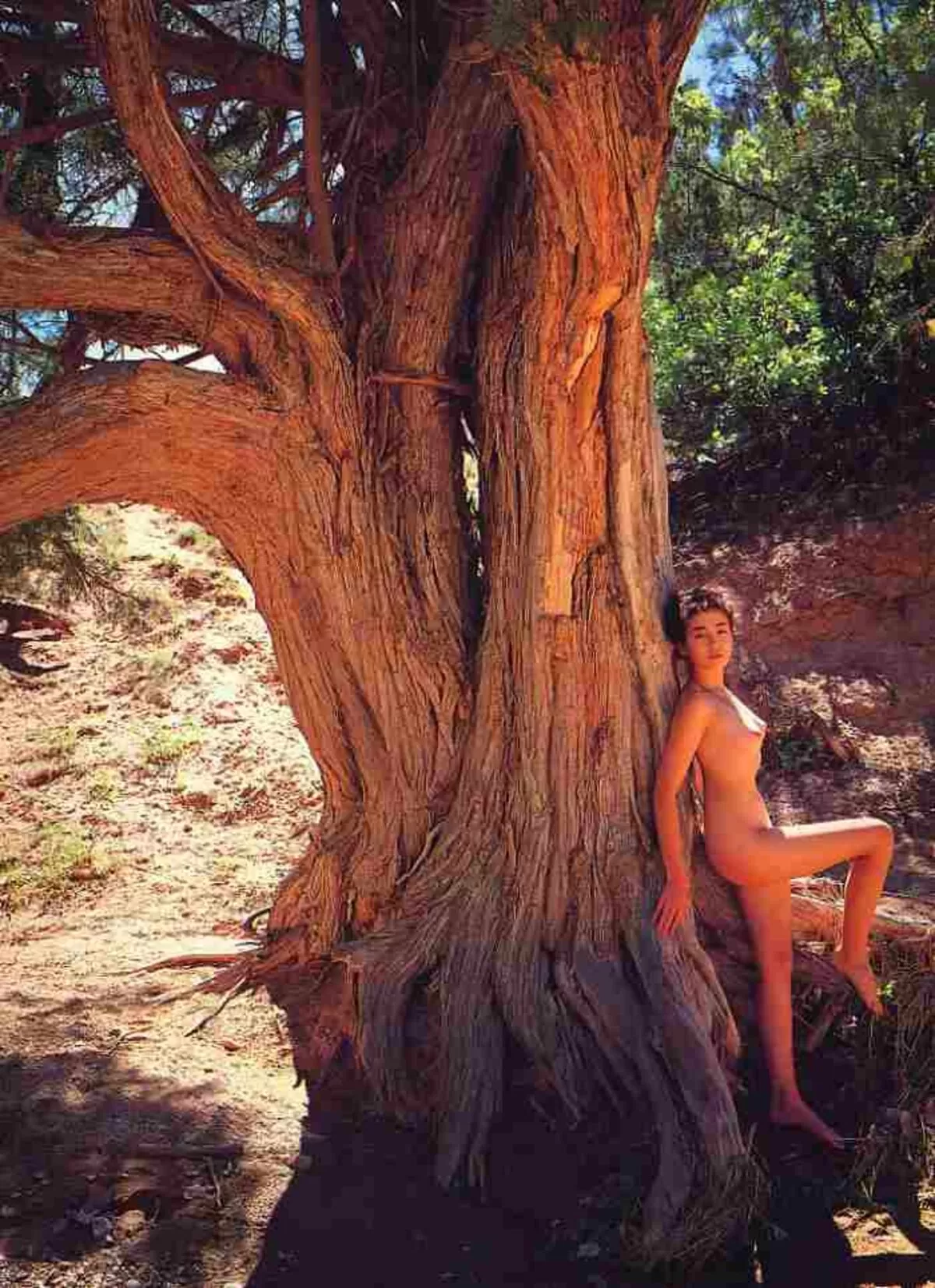 宮沢りえエロ画像015