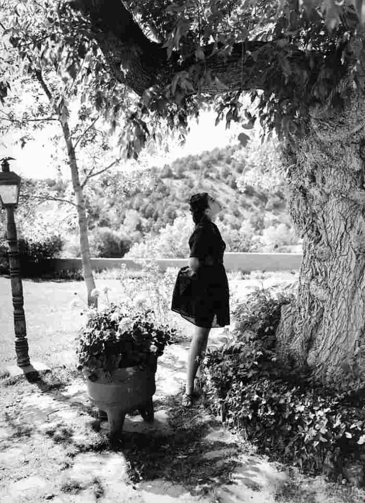 宮沢りえエロ画像042